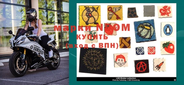 мяу мяу мука Аркадак